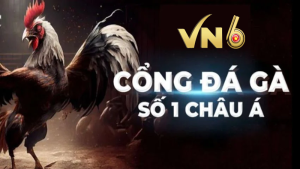 Đá gà VN6 - Thị trường Việt Nam đẳng cấp Quốc tế 4 đá gà VN6