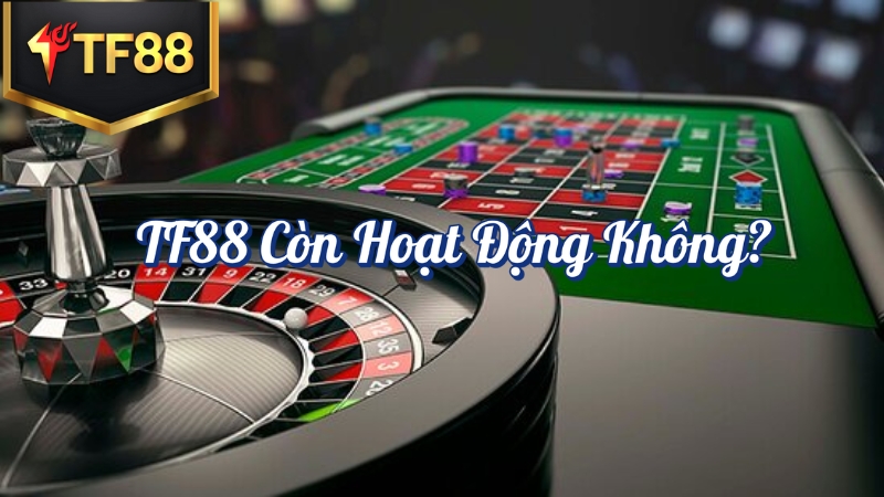 TF88 còn hoạt động không game chủ đạo là gì?