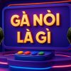 Gà nòi là gì – Hé lộ bí mật khiến game thủ ồ ạt kéo đến 89BET