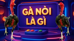 Gà nòi là gì?